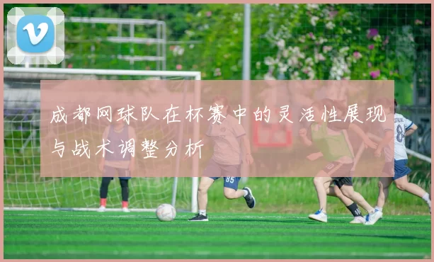 成都网球队在杯赛中的灵活性展现与战术调整分析