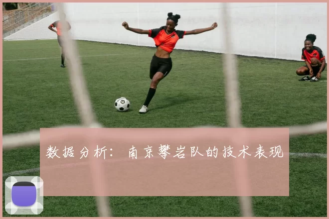 数据分析：南京攀岩队的技术表现