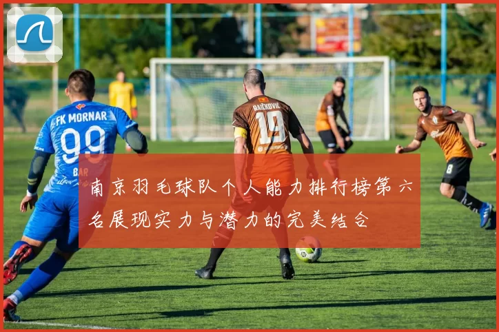 南京羽毛球队个人能力排行榜第六名展现实力与潜力的完美结合