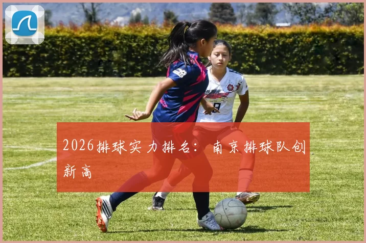 2026排球实力排名：南京排球队创新高