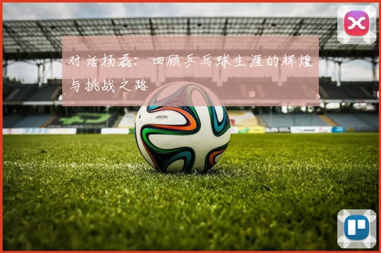 对话杨磊：回顾乒乓球生涯的辉煌与挑战之路